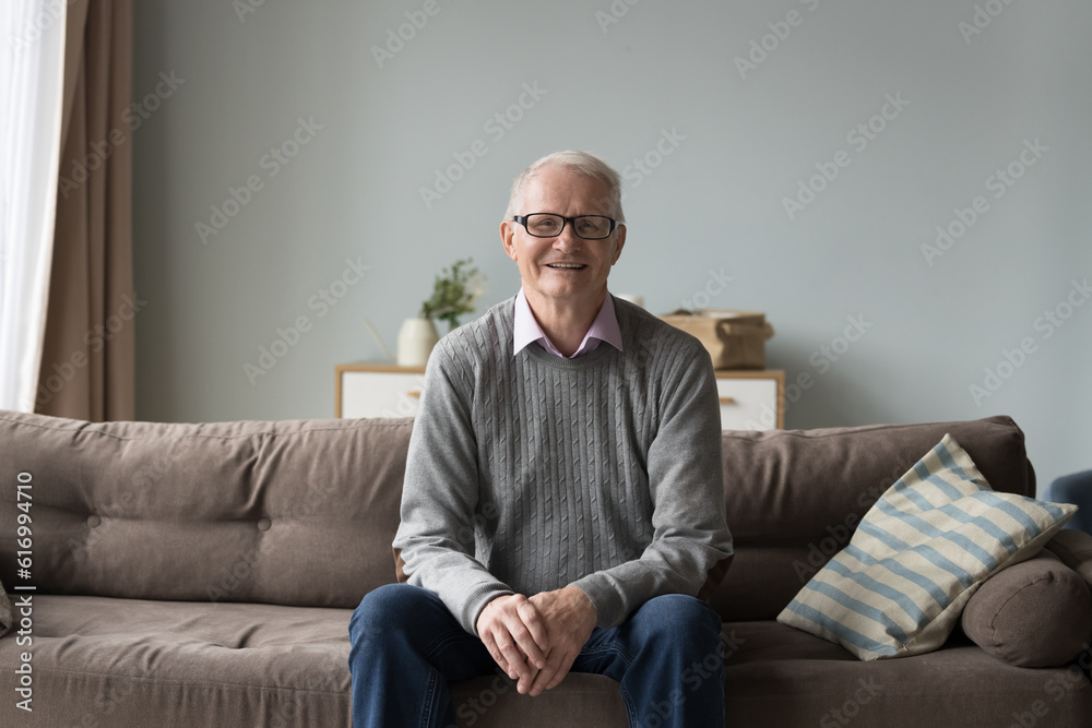 Calm retired elderly man in glasses and casual clothes resting alone seated on comfortable couch in living room smile looking at camera at own or rented home. Baby-boomer generation person portrait Calm retired elderly man in glasses and casual clothes resting alone seated on comfortable couch in living room smile looking at camera at own or rented home. Baby-boomer generation person portrait