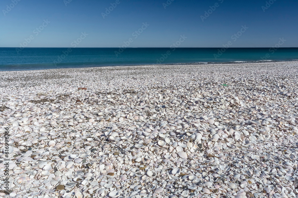 Shell Beach, San Antonio East Harbor, Rio Negro, Patagonia Argentina. Shell Beach, San Antonio East Harbor, Rio Negro, Patagonia Argentina.