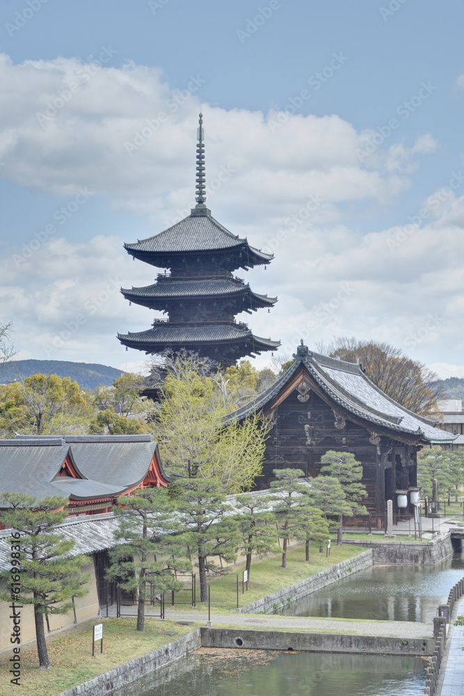 東寺の五重塔と桜 東寺の五重塔と桜