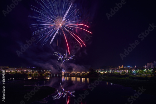 Fireworks over a park in the night sky  happy new year  year 2023-2024  new year 2023 24  badajoz  spain 