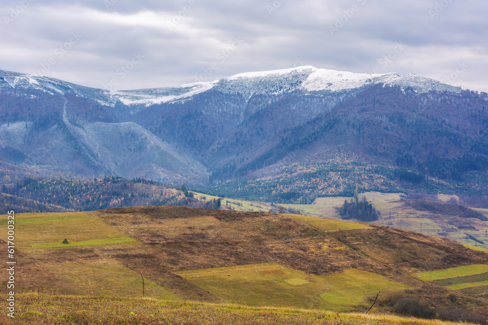 Fototapeta premium mountain range with snow capped tops. cold november scenery of carpathian countryside