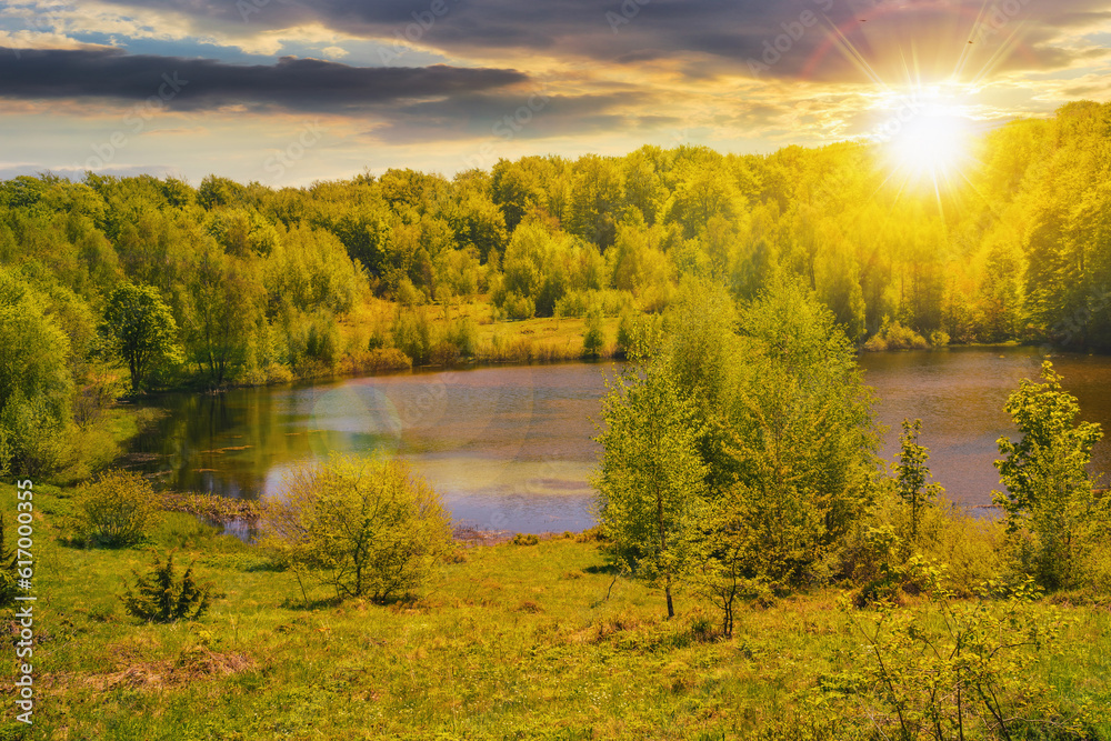 Fototapeta premium pond in the forest at sunset. countryside nature scenery with trees on the shore in evening light