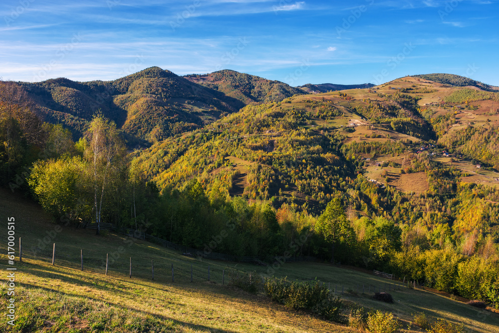 Naklejka premium mountainous landscape in autumn. trees on the grassy hills. beautiful outdoor scenery of romanian carpathian countryside