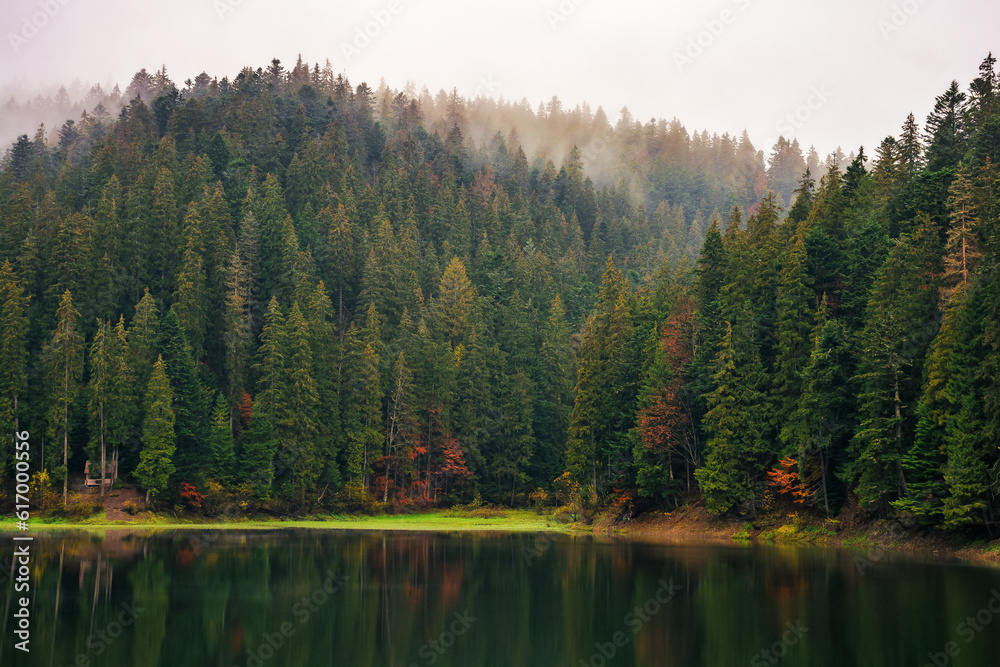 landscape with lake in autumn. beautiful foggy nature background