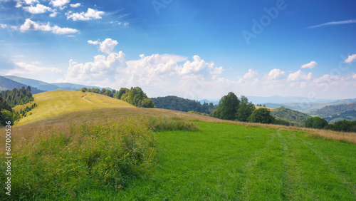 mountain landscape with grassy meadow. view in to the distant rural valley. sunny summer morning