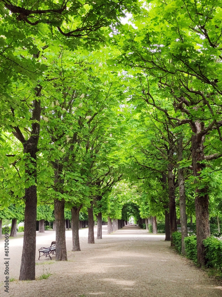 Fototapeta premium palace gardens in spring green colors