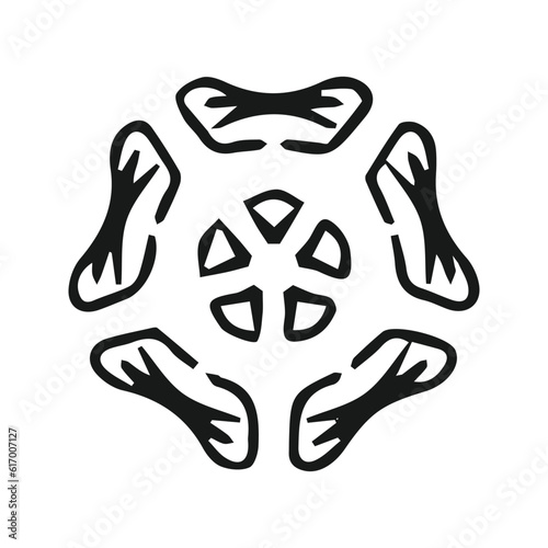 hand drawing complex flower or mandala 