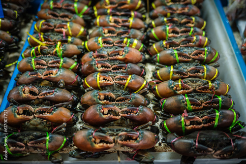 Live crab tied with straw rope on a tray for sale in Ang Sila seafood market  Thailand