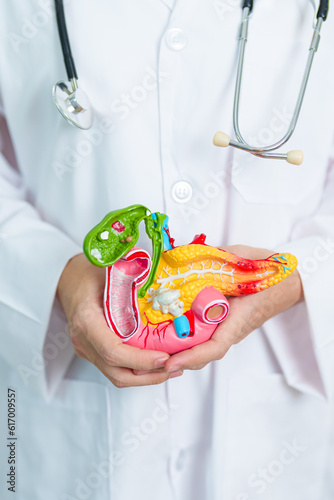Doctor with human Pancreatitis anatomy model with Pancreas, Gallbladder, Bile Duct, Duodenum, Small intestine. Pancreatic cancer, Acute and Chronic pancreatitis, Digestive system and Health concept