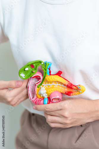 Woman holding human Pancreatitis anatomy model with Pancreas, Gallbladder, Bile Duct, Duodenum, Small intestine. Pancreatic cancer, Acute and Chronic pancreatitis, Digestive system and Health concept