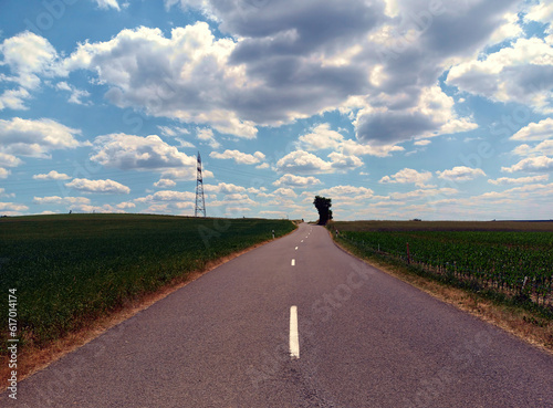 Einsame Landstraße im Sommer mit Wiesen, Feldern und einem Baum sowie einem Stormmast im Hintergrund in den Luxemburger Ardennen bei Consthum.  photo