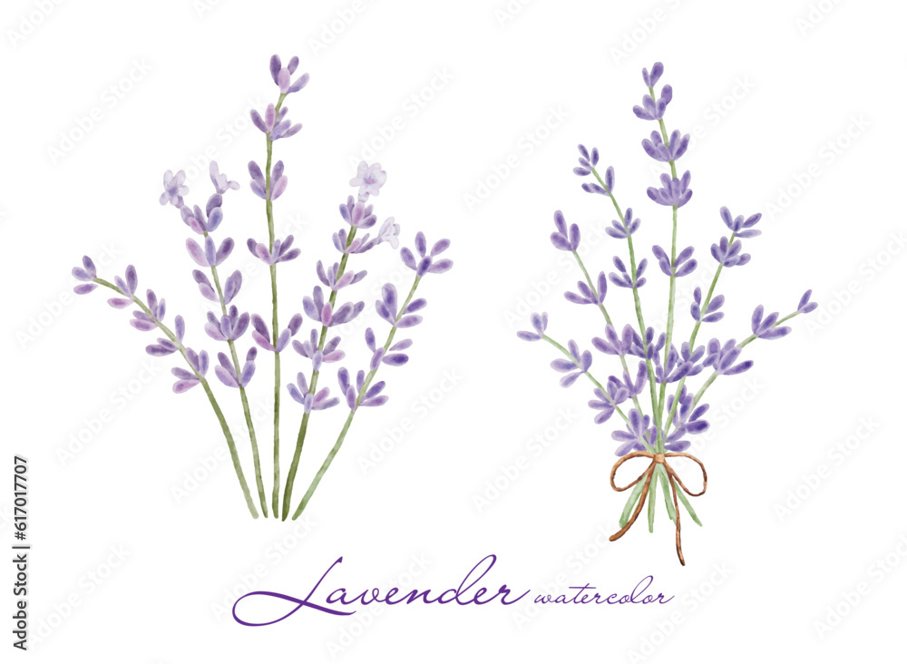 Naklejka premium Set of lavender flowers elements