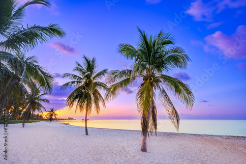 Smathers Beach  Sunrise.beautifully  framed by Palm Trees..Key West  Florida  USA