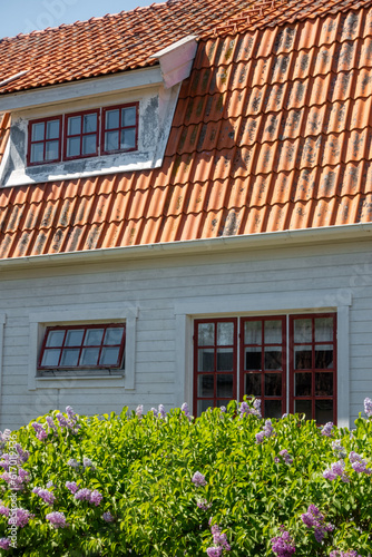 Facade of a white painted wooden plank residential single-family house with orange roof tiles in rural Scandinavian countryside with lush green bush in the garden outside the window © Nicholas