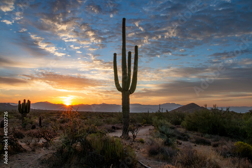 Arizona Desert Sunrise With Sun Rays & Saguaro Cactus © Ray Redstone