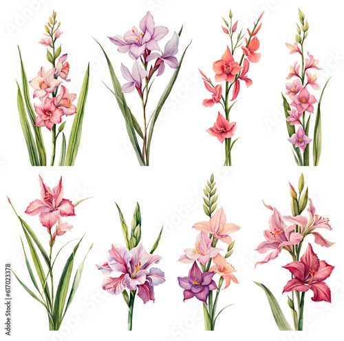 Tela Watercolor gladiolus set. Generative Ai
