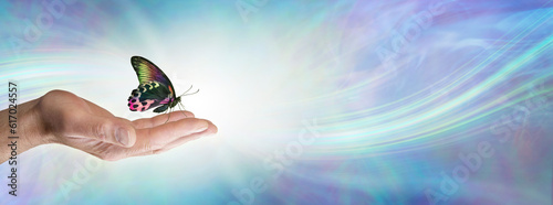 Slika na platnu Special moment with a Butterfly spiritual message memo background - colorful but