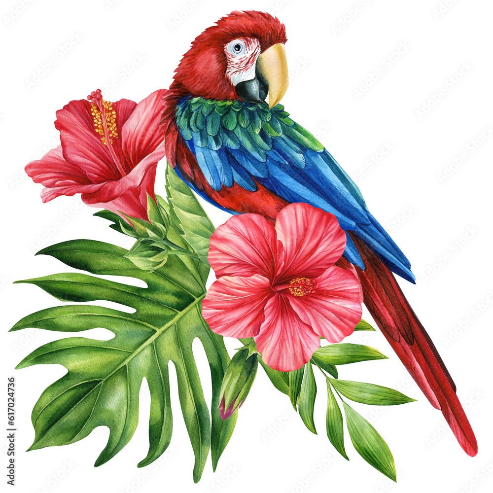 Fototapeta premium Beautiful tropical bird. Macaw red parrot, flowers and leaf in isolated background. Watercolor illustration hand drawing