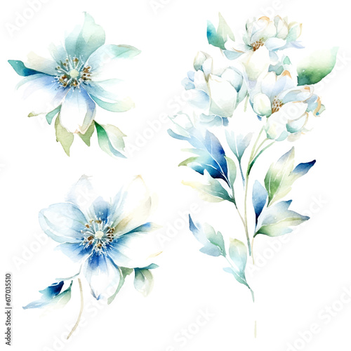 set of white floral watercolor  flower watercolor  leaves watercolor 