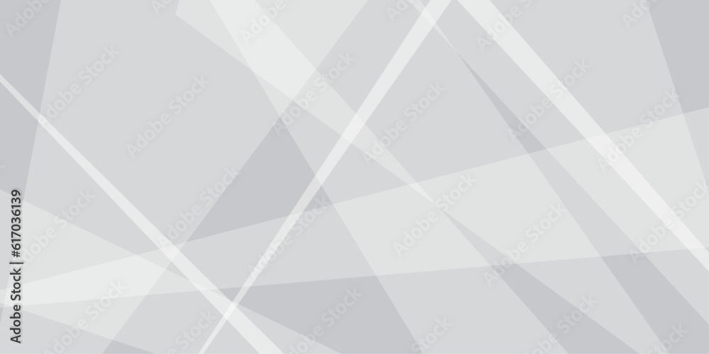 Fototapeta premium Abstract background with white and gray and geometric style with simple lines and corners, polygons as background geometric style with simple lines and corners, polygons as background paper texture