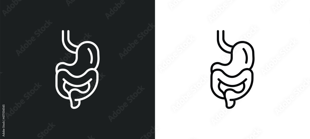 digestive system line icon in white and black colors. digestive system flat vector icon from digestive system collection for web, mobile apps and ui. digestive system line icon in white and black colors. digestive system flat vector icon from digestive system collection for web, mobile apps and ui.