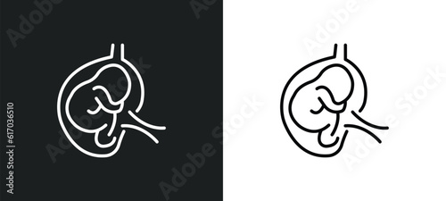 fetus in an uterus line icon in white and black colors. fetus in an uterus flat vector icon from fetus an uterus collection for web, mobile apps and ui.