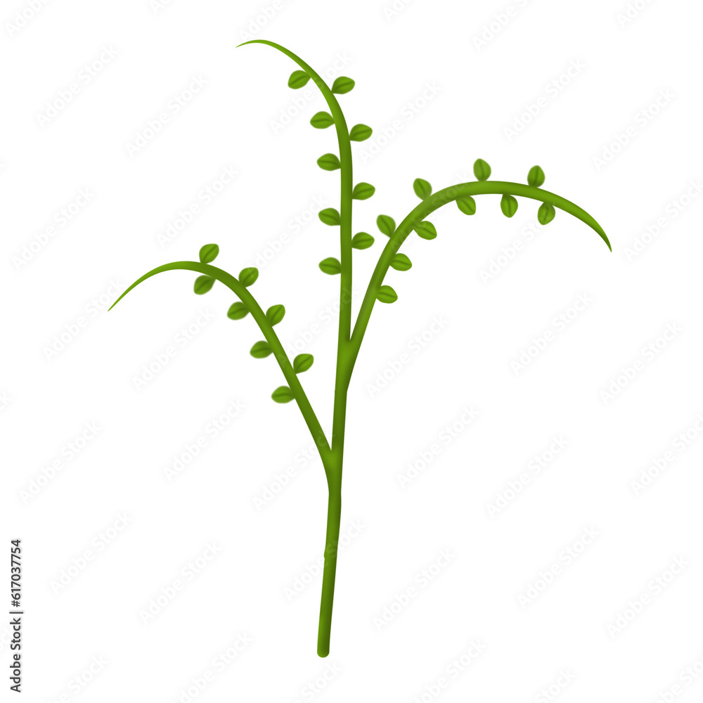 illustration set, icon set of green grass and leaves, banana leaves, shrubs, grape leaves, palm leaves, vines, ferns illustration set, icon set of green grass and leaves, banana leaves, shrubs, grape leaves, palm leaves, vines, ferns