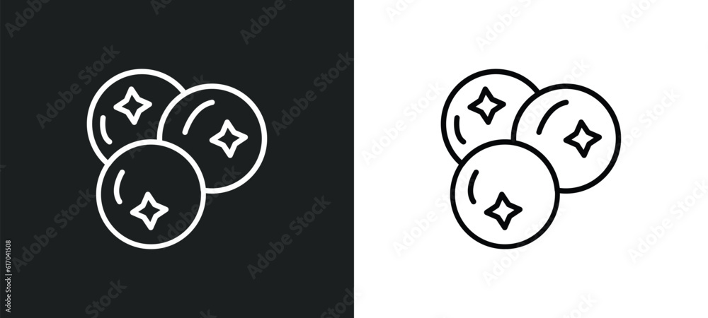 blueberries line icon in white and black colors. blueberries flat vector icon from blueberries collection for web, mobile apps and ui.