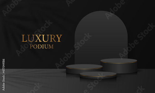 Realistic black gold line cylinder 3D room pedestal podium set palm leaf shadow overlay minimal scene product display presentation stage for showcase vector