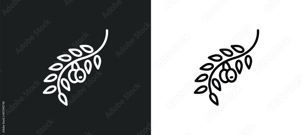 olives on a branch line icon in white and black colors. olives on a branch flat vector icon from olives on a branch collection for web, mobile apps and ui. olives on a branch line icon in white and black colors. olives on a branch flat vector icon from olives on a branch collection for web, mobile apps and ui.