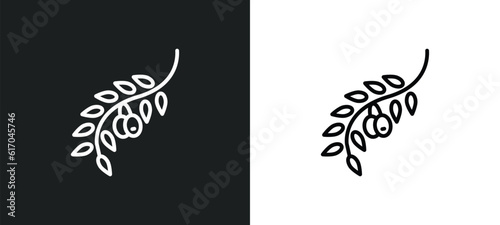 olives on a branch line icon in white and black colors. olives on a branch flat vector icon from olives on a branch collection for web, mobile apps and ui.