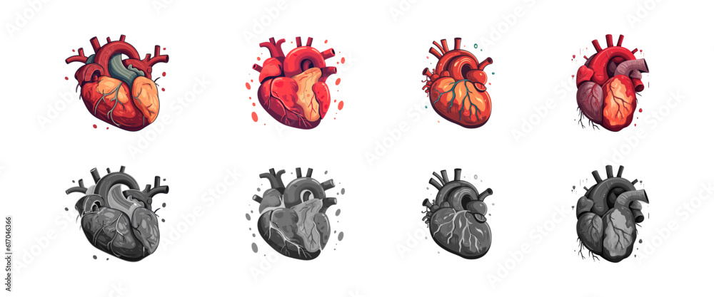 Human heart organ set flat cartoon isolated on white background. Vector illustration Human heart organ set flat cartoon isolated on white background. Vector illustration