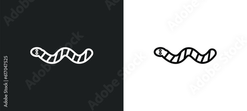 worm line icon in white and black colors. worm flat vector icon from worm collection for web, mobile apps and ui.