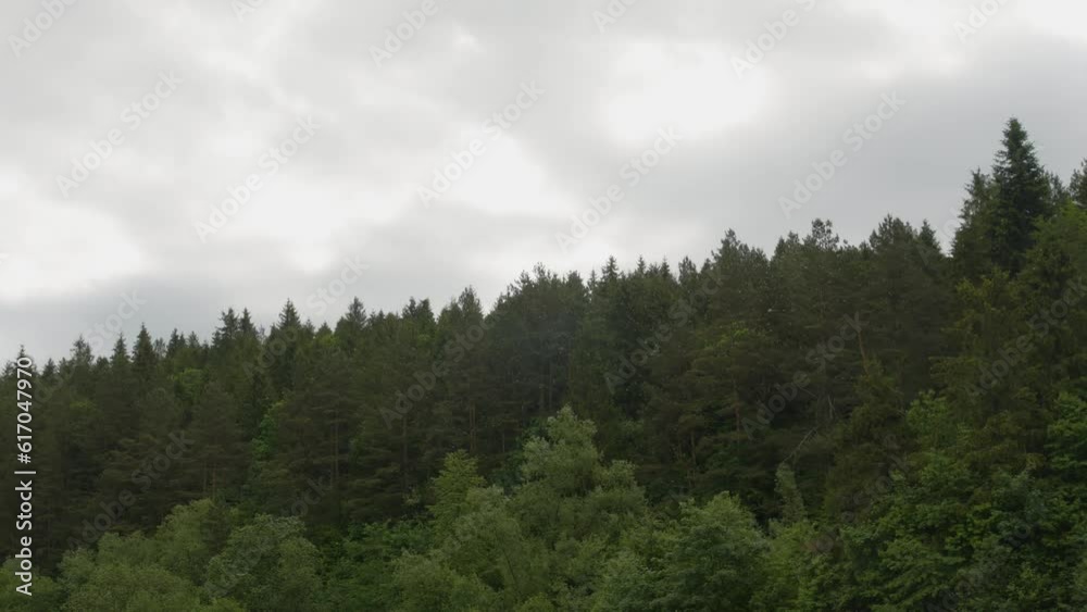 sky mountains mountains in trees sky mountains mountains in trees