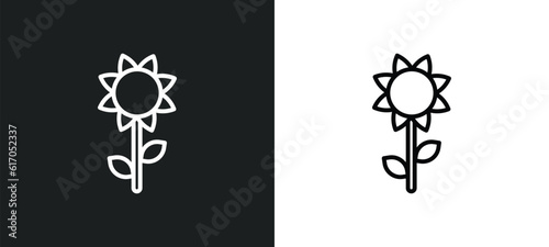 sunflower line icon in white and black colors. sunflower flat vector icon from sunflower collection for web, mobile apps and ui.