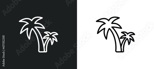 palm tree line icon in white and black colors. palm tree flat vector icon from palm tree collection for web  mobile apps and ui.