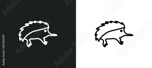 Billede på lærred echidna line icon in white and black colors