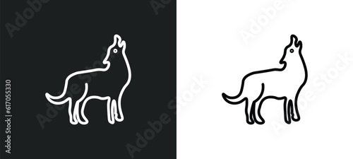 coyote line icon in white and black colors. coyote flat vector icon from coyote collection for web  mobile apps and ui.