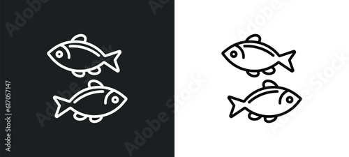 two golden carps line icon in white and black colors. two golden carps flat vector icon from two golden carps collection for web, mobile apps and ui.