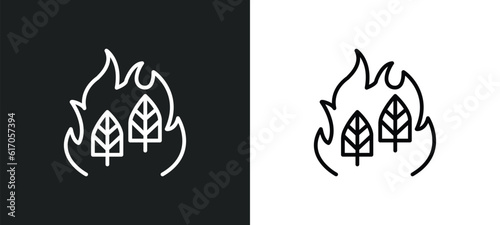 wildfire line icon in white and black colors. wildfire flat vector icon from wildfire collection for web, mobile apps and ui.