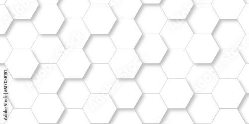 Seamless pattern abstract background with hexagons. 3d Hexagonal structure futuristic white background and Embossed Hexagon   honeycomb white Background  light and shadow  Vector. 