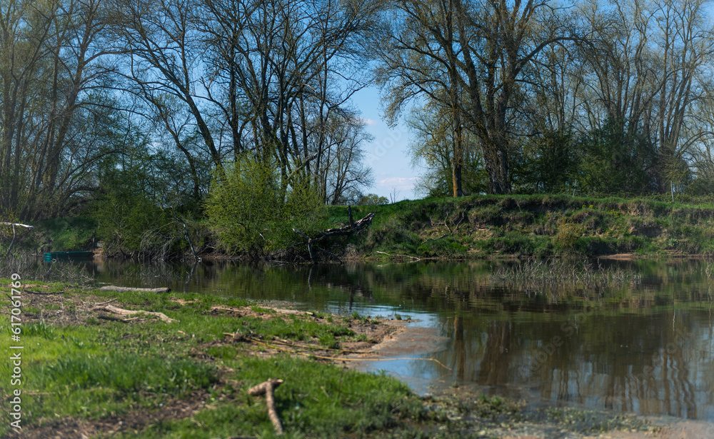 Fototapeta premium lake in the forest