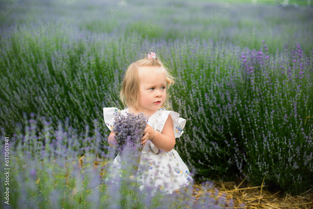 A beautiful little girl is walking in a lavender field. The fair-haired girl smiles and plays. lavender field A beautiful little girl is walking in a lavender field. The fair-haired girl smiles and plays. lavender field