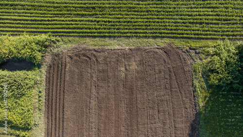Agricultural field aerial view. Agricultural field with grown products ready to harvest. Empty farmland with rows of soil before plantation. Selective focus included. Drone view.