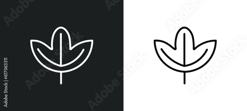 sassafras leaf line icon in white and black colors. sassafras leaf flat vector icon from sassafras leaf collection for web, mobile apps and ui. photo