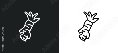 horseradish line icon in white and black colors. horseradish flat vector icon from horseradish collection for web, mobile apps and ui. photo