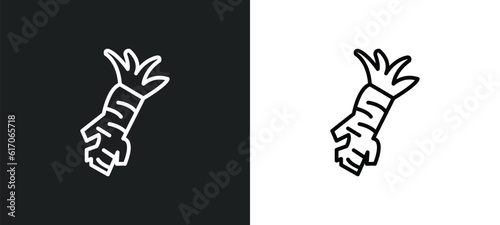 horseradish line icon in white and black colors. horseradish flat vector icon from horseradish collection for web, mobile apps and ui.