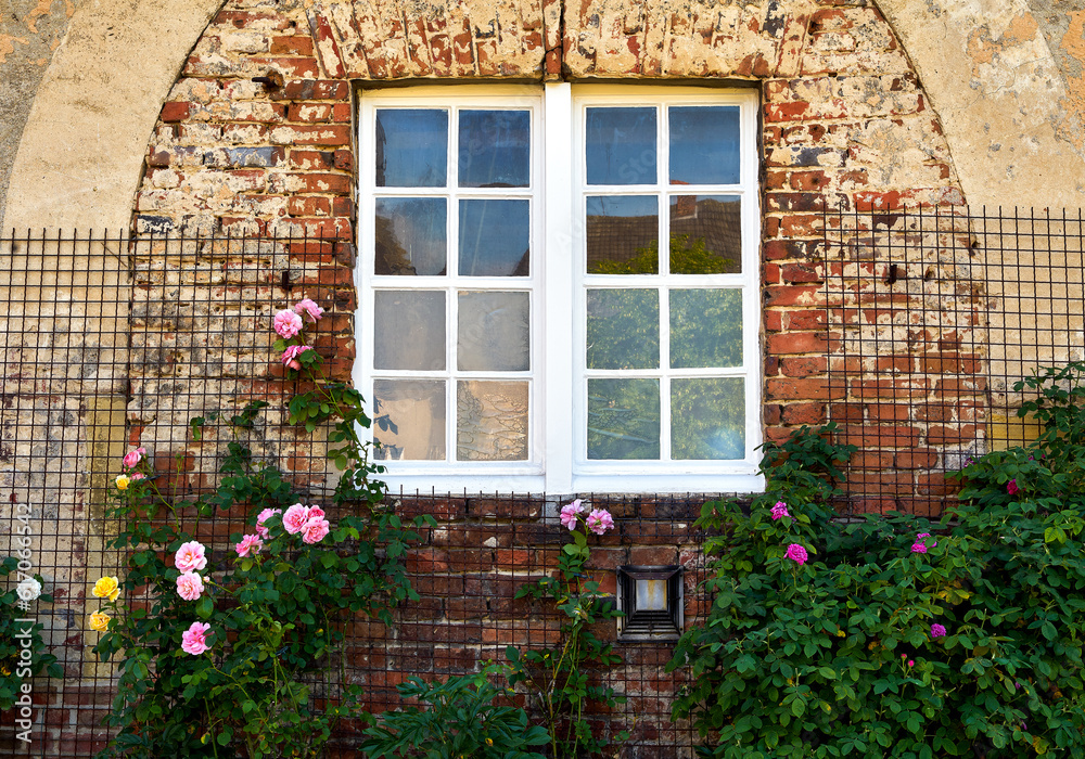 Window with Roses, Westerwinkel Castle, North Rhine-Westphalia, Germany 