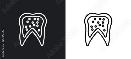 inner tooth line icon in white and black colors. inner tooth flat vector icon from inner tooth collection for web, mobile apps and ui.