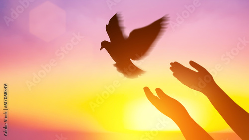 Silhouette pigeon flying out two hands in air vibrant sunlight sunset sunrise background. Freedom making merit concept. Nature animal people hope pray holy faith. International Day of Peace theme. © Shutter2U